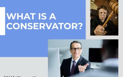 What is a Conservator?
