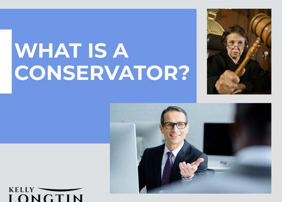 What is a Conservator?
